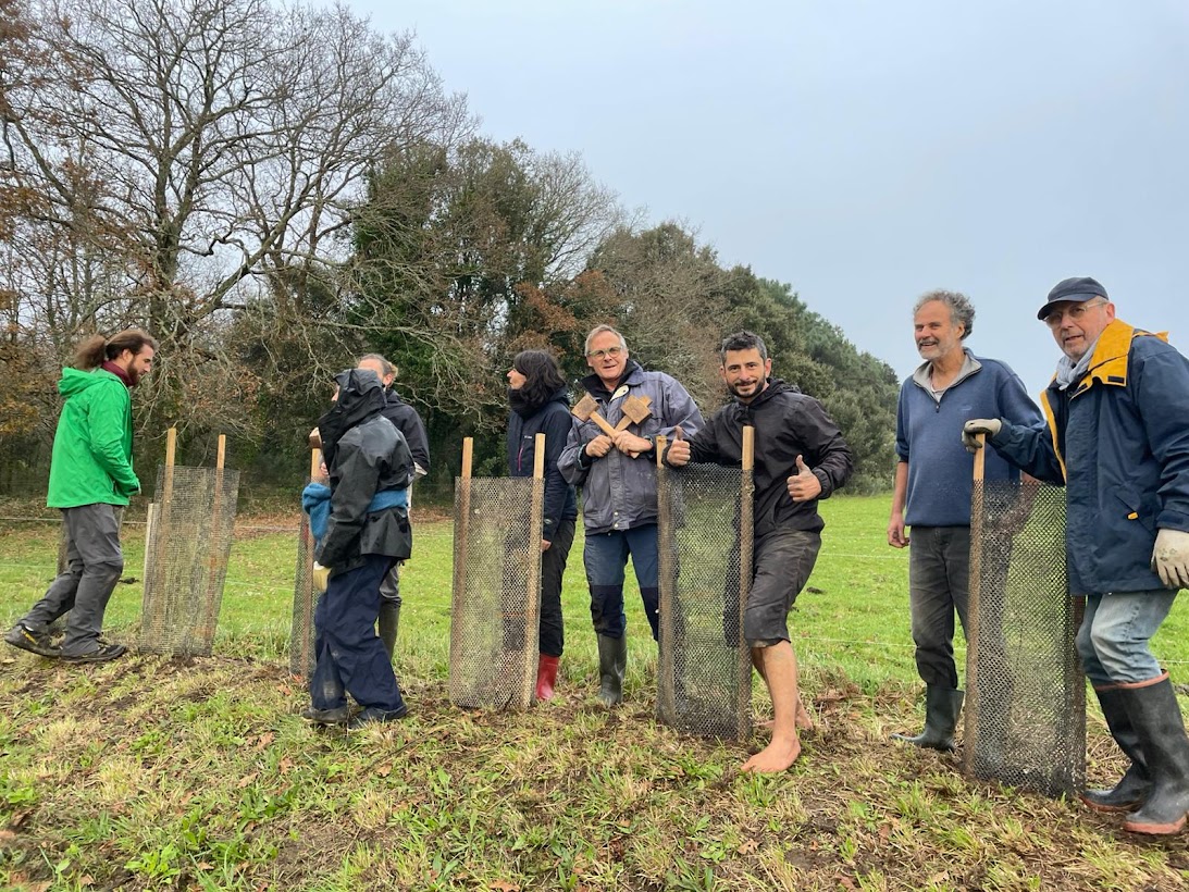 Plantations de l’automne