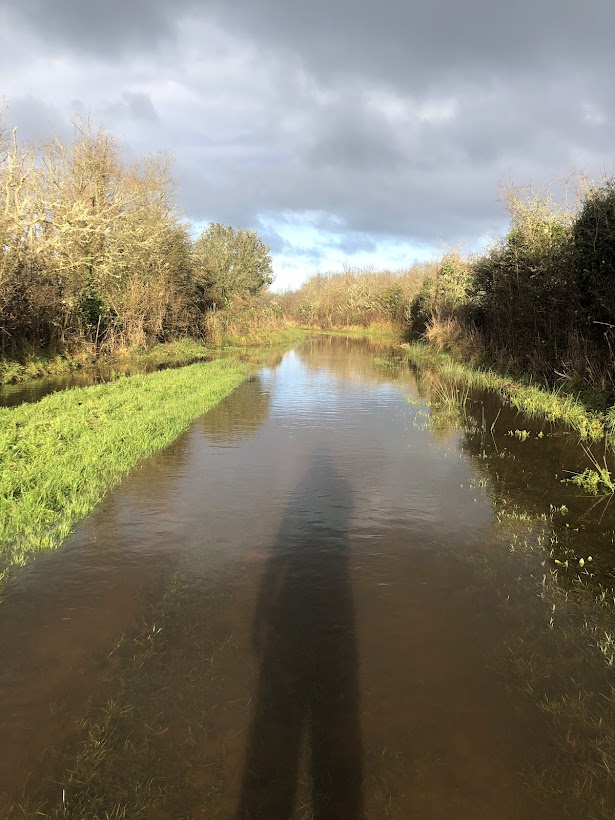 Mes projets pour&nbsp;2025