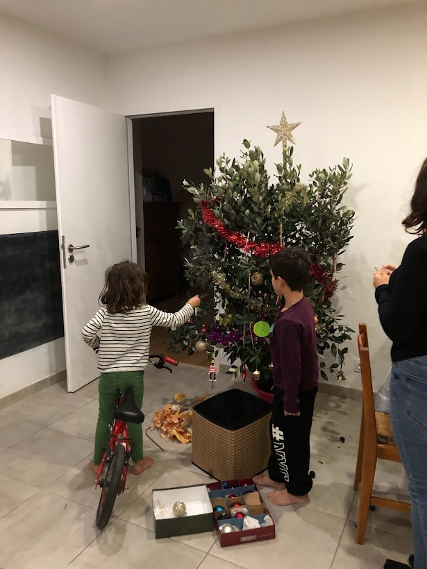3 bonnes raisons de faire un Arbre de Noël Vivant